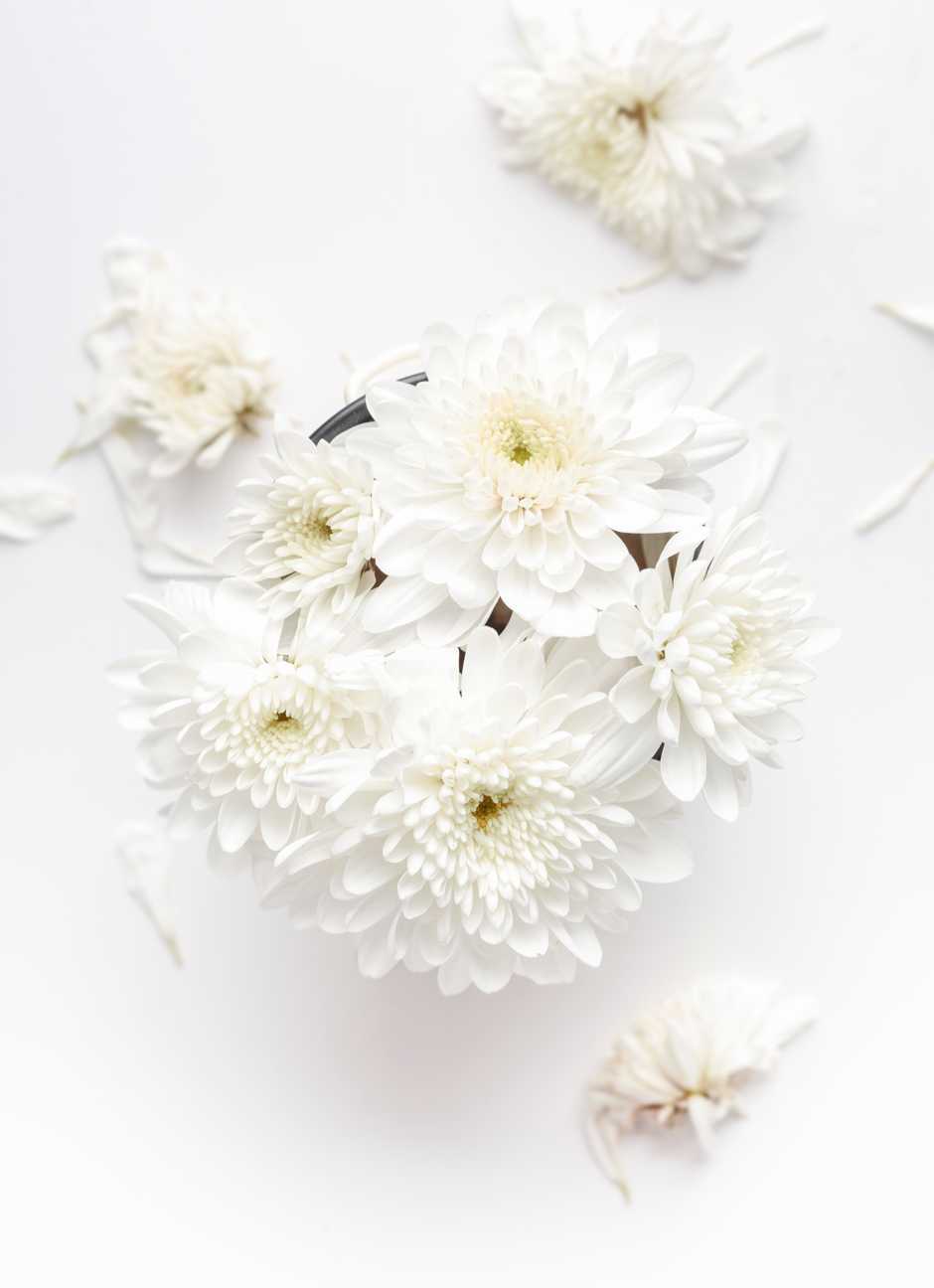 Collection Image